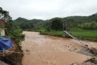 005158300_1763252339-WhatsApp_Image_2025-11-16_at_06.01.08