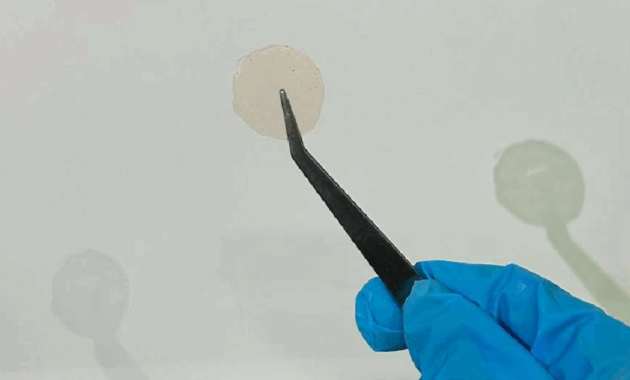 011402400_1762404395-patch_buah_merah_papua