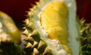 023714100_1611281526-pexels-maddog-4487992