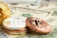 028308500_1762943225-IMG_9133 (1)