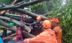 034160600_1761824673-695ed5bb-540d-4d99-8b08-23db9244f107__1_