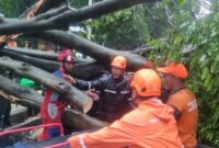 034160600_1761824673-695ed5bb-540d-4d99-8b08-23db9244f107__1_