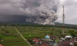 039931400_1763617674-7