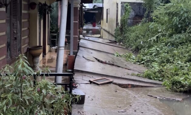 043552000_1764391254-IMG_8447