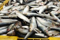 062652100_1672121764-20221227-Salju-New-York-AP-6