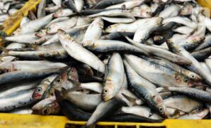 062652100_1672121764-20221227-Salju-New-York-AP-6