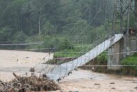 063196500_1763252338-WhatsApp_Image_2025-11-16_at_06.02.14