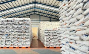 080135100_1754403889-image__43_