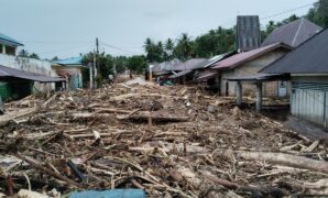 085918800_1734597170-WhatsApp_Image_2024-12-19_at_14.07.11