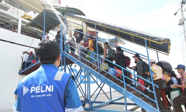 086743800_1763948733-pt_pelni