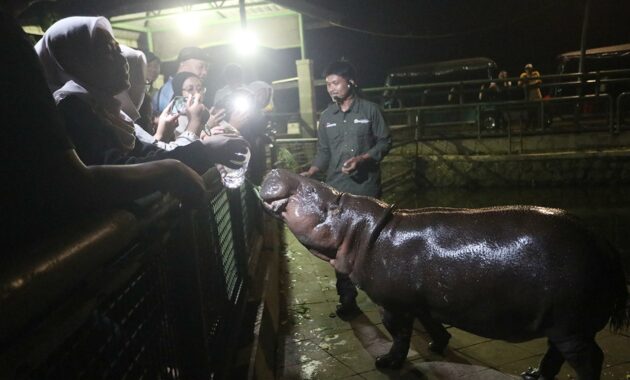 095307600_1760693994-Berita_Jakarta