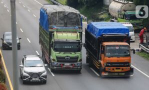 096597600_1746699380-20250508-ODOL-ANG_8