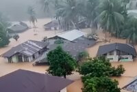 viral-DIXv_large (1)