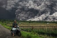 003212400_1763617674-6