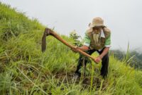 009995600_1765079525-Mbah_Sadiman