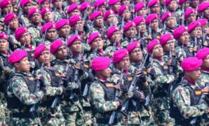 011163300_1759659889-def6