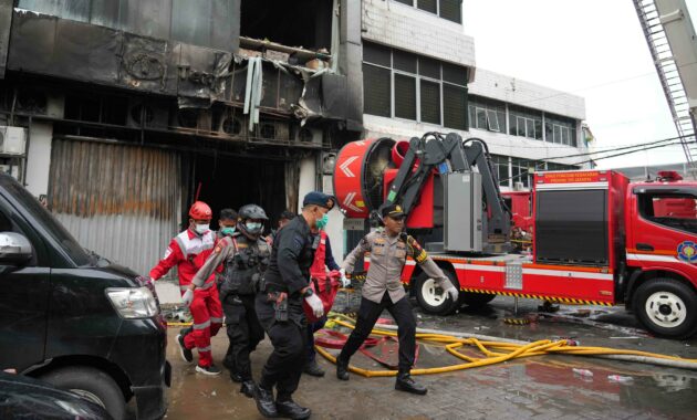 018523900_1765279308-6