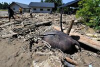 035505000_1764551567-8