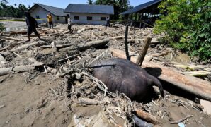 035505000_1764551567-8