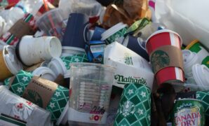 045545900_1634113912-coffeetogo-3926395_1280