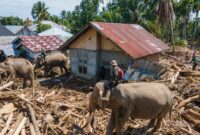 046570300_1765181610-2