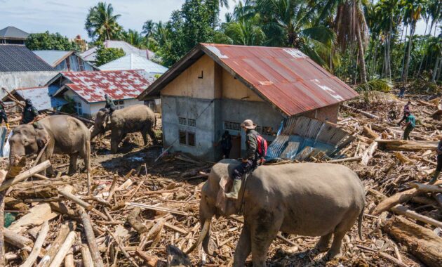 046570300_1765181610-2