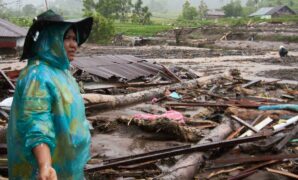 047496500_1764317617-6