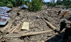 053631900_1764551568-3