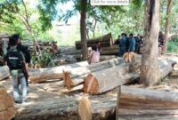 059586800_1767011740-baluran1