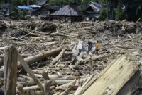 062272600_1764842415-1