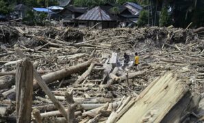 062272600_1764842415-1