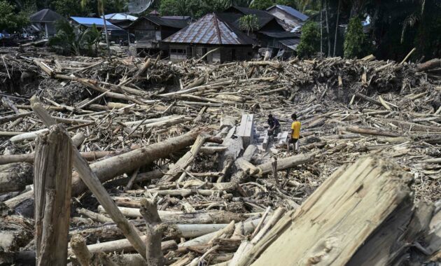 062272600_1764842415-1