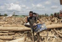 063295700_1765520067-2