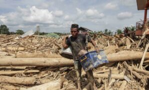 063295700_1765520067-2