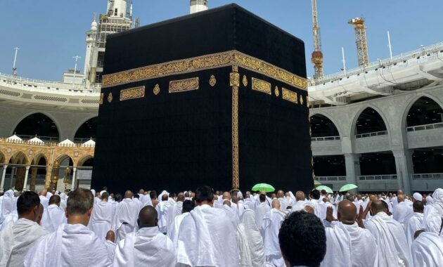 074506300_1715073103-pexels-drmkhawarnazir-18996539