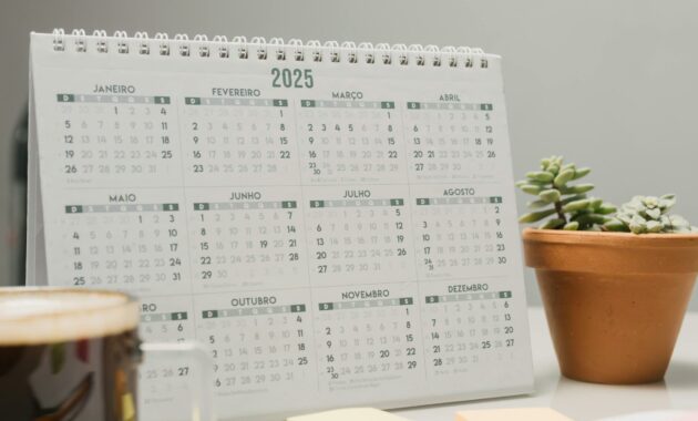 080163400_1734234398-pexels-bertellifotografia-29509460