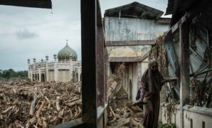 087113800_1765792956-1