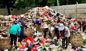 087233500_1741102767-IMG_5385