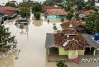 088670700_1765019529-IMG_20251206_174445