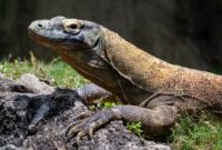 097973400_1697529367-joshua-j-cotten-VCzNXhMoyBw-unsplash