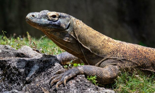 097973400_1697529367-joshua-j-cotten-VCzNXhMoyBw-unsplash