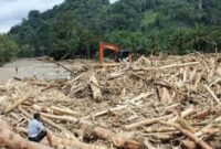 kayu_gelondongan_hanyut_saat_banjir_sumatera-60fg_large