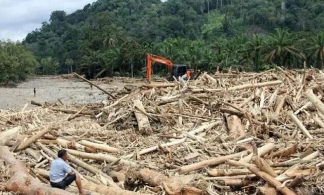 kayu_gelondongan_hanyut_saat_banjir_sumatera-60fg_large