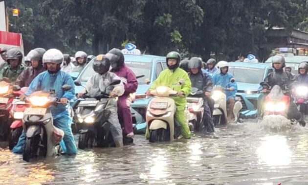 010186900_1769654135-InShot_20260129_090353144