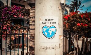 013802900_1675071164-pexels-lauris-rozenta__ls-3302183_1_