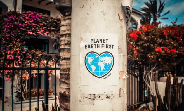 013802900_1675071164-pexels-lauris-rozenta__ls-3302183_1_