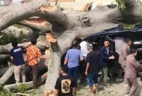 016624600_1766479841-1000860098