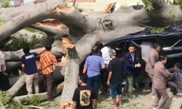 016624600_1766479841-1000860098