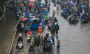 017218900_1768209883-jem4