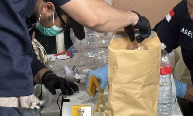 028256500_1767349781-IMG_7311